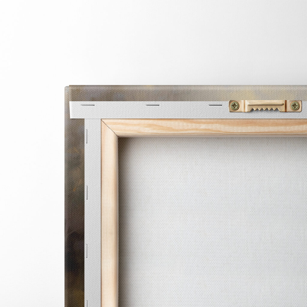 White horse running in a field White horse running in a field