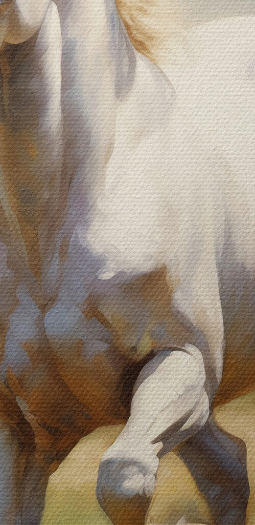 White horse running in a field White horse running in a field