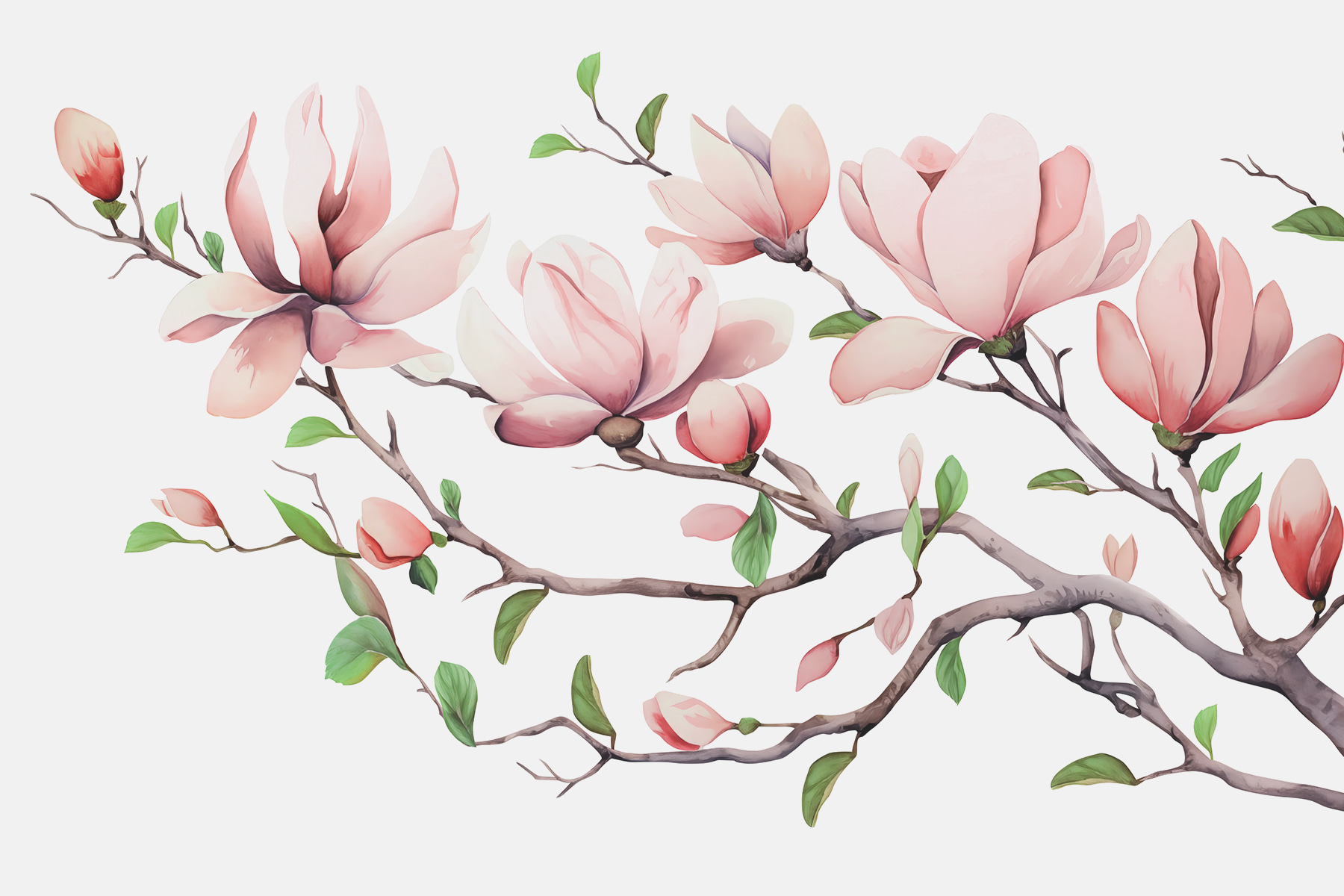 Branch with pink flowers and leaves Branch with pink flowers and leaves