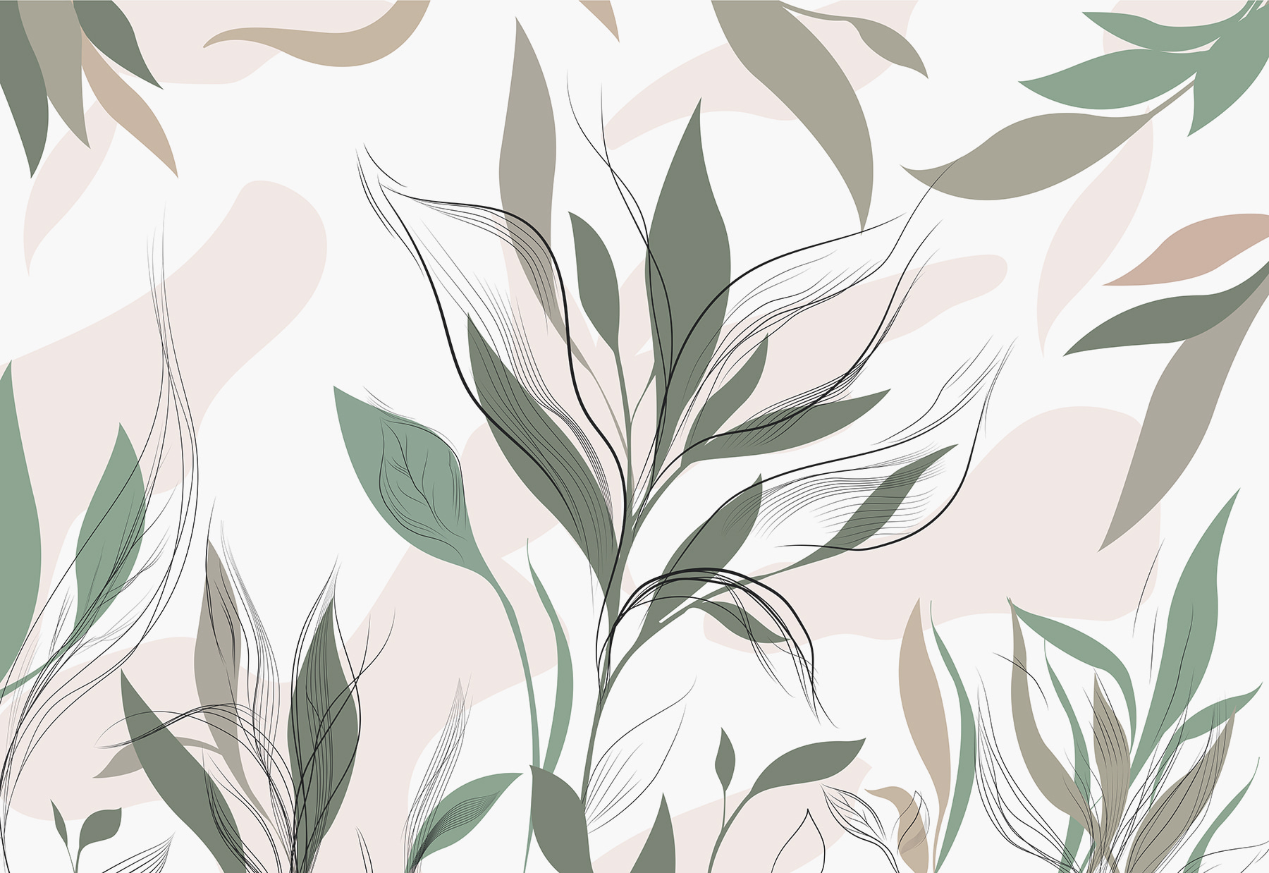 Close up of leaves Close up of leaves