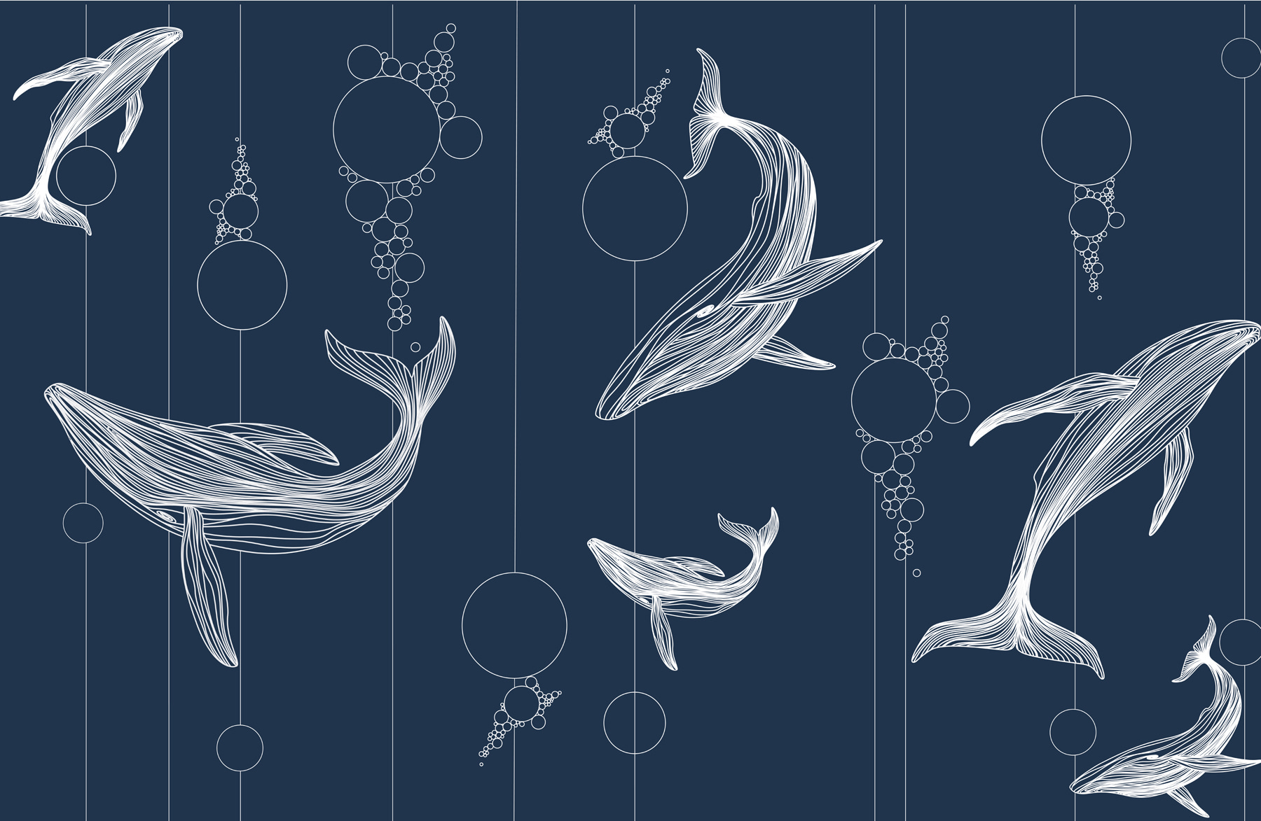 Group of whales and bubbles Group of whales and bubbles