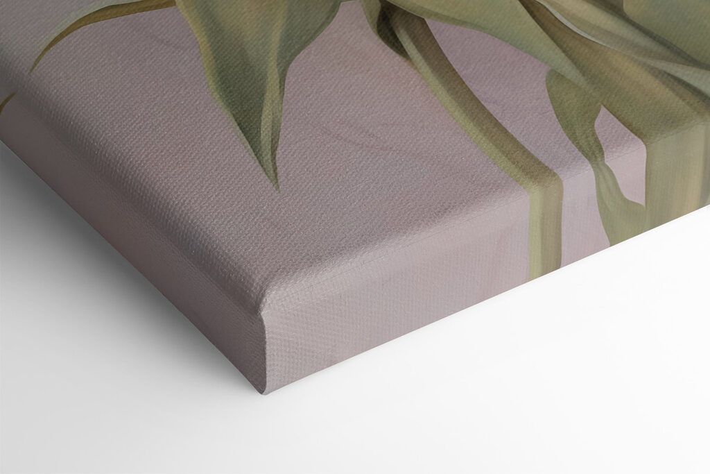 Painting of pink tulips Painting of pink tulips