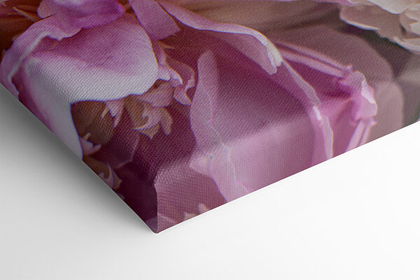 Delicate blooms in soft pastel shades