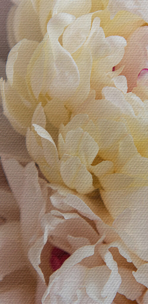 Delicate blooms in soft pastel shades