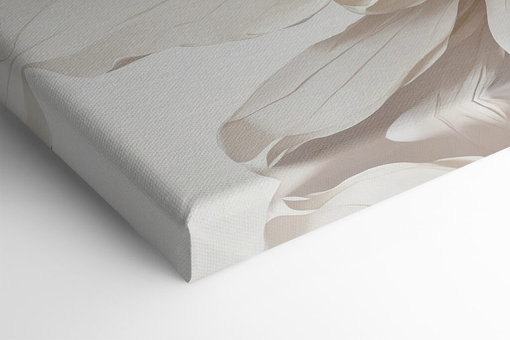 Close up of a flower Close up of a flower