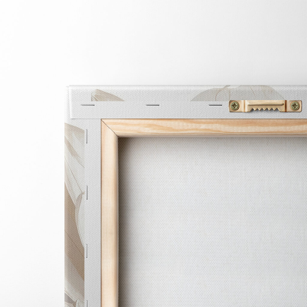 Close up of a flower Close up of a flower