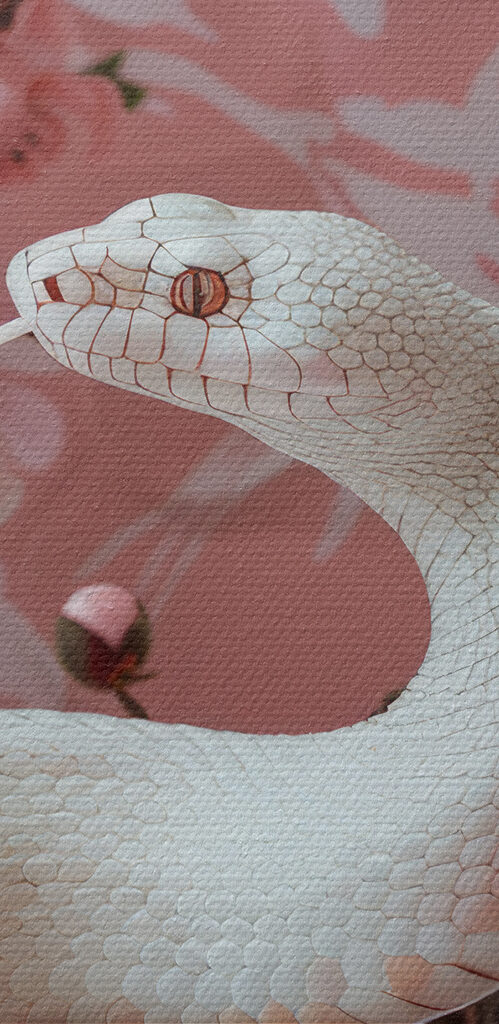 White snake with pink flowers White snake with pink flowers