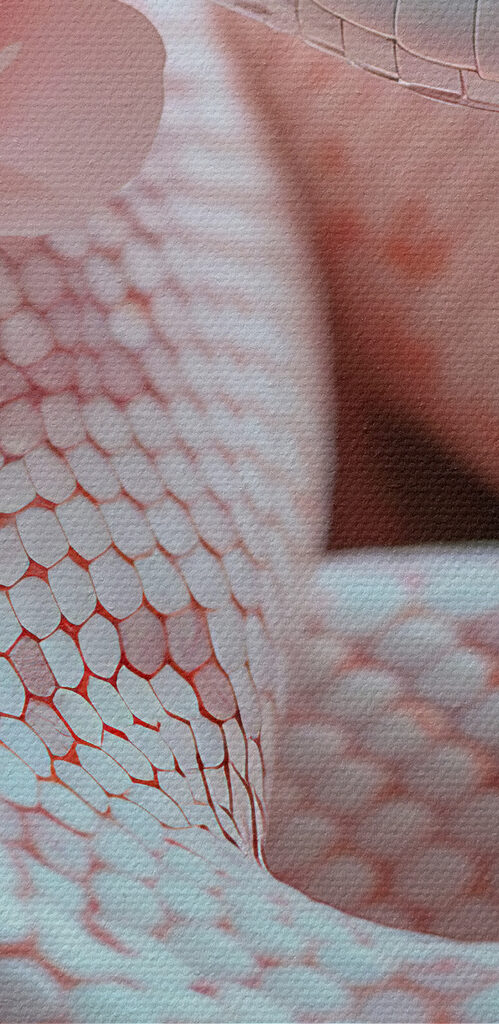 White snake in pink flowers