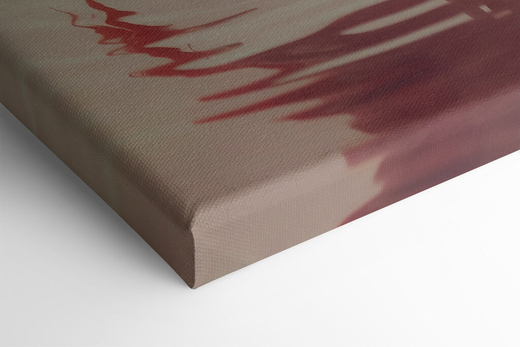 Flamingo standing in water