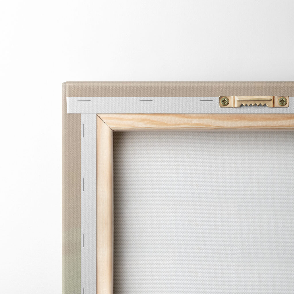 Flamingo standing in water