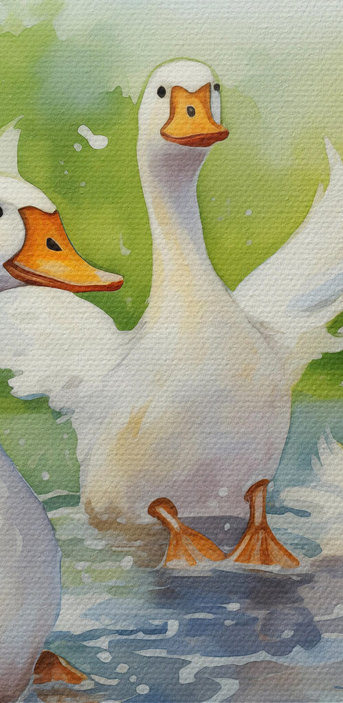 Group of white ducks swimming in water