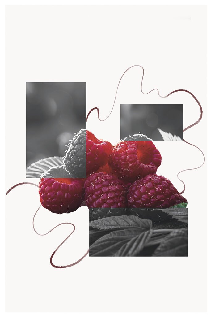 Group of raspberries with leaves Group of raspberries with leaves