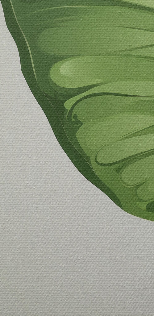 Green butterfly with wings