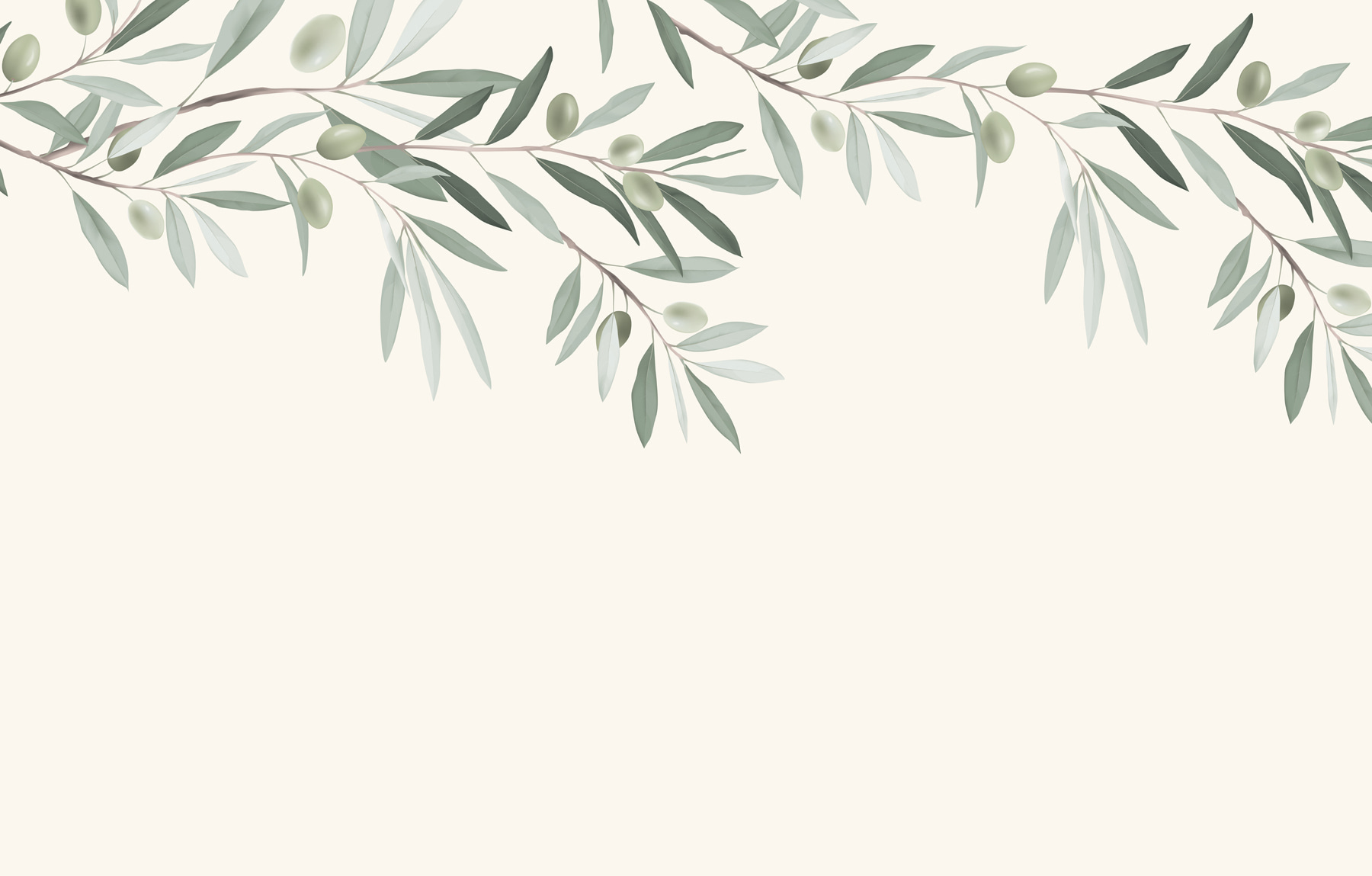 Branch with leaves and olives Branch with leaves and olives