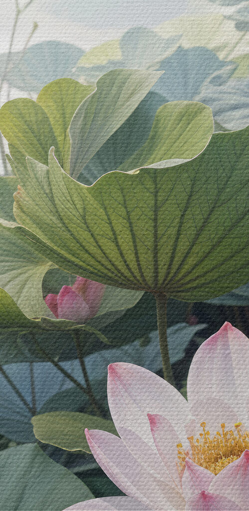 Group of pink flowers and green leaves