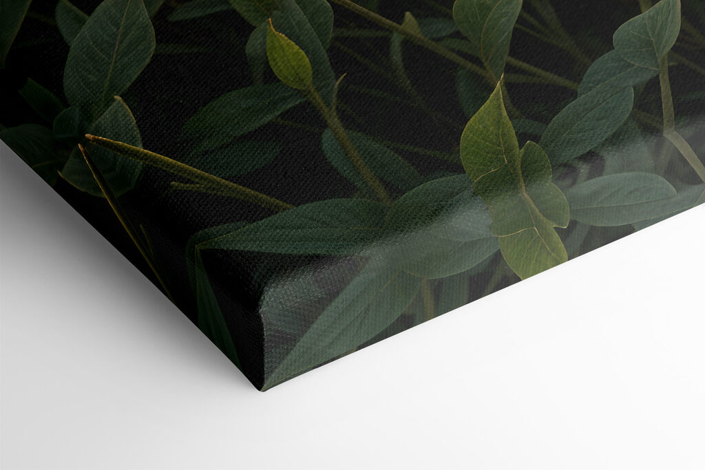 Field of pink flowers with a tree and mountains in the background Field of pink flowers with a tree and mountains in the background