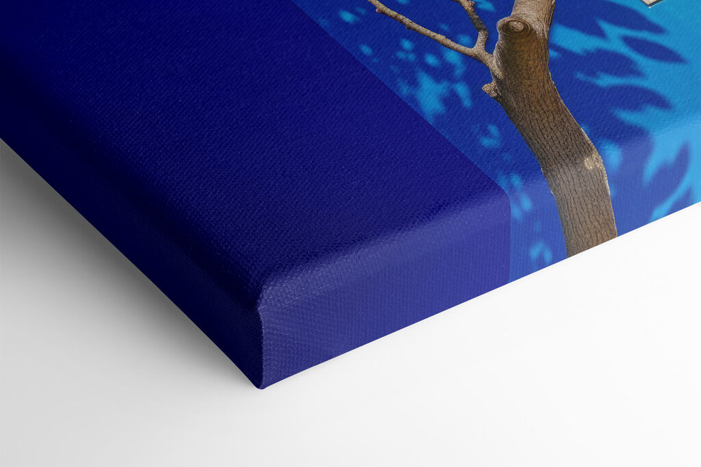 Tree with fruit on it