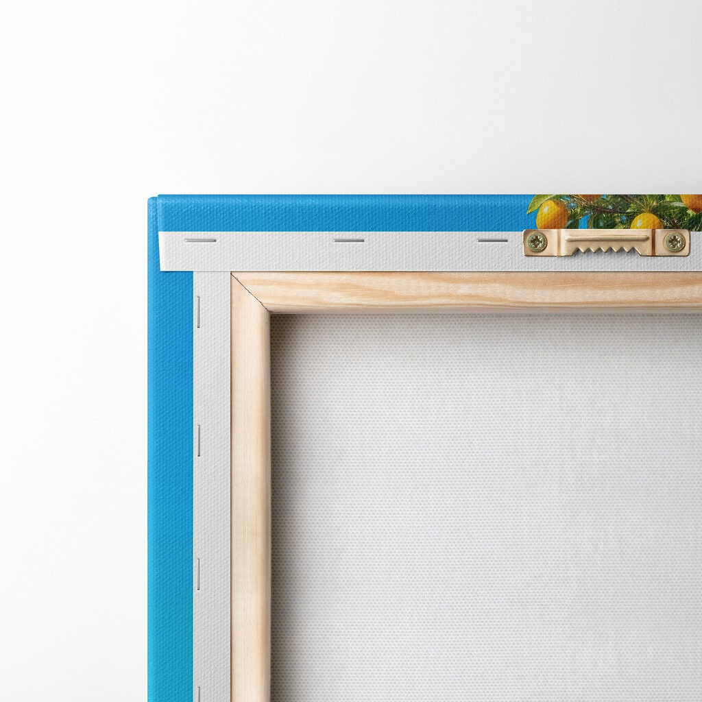 Tree with fruit on it