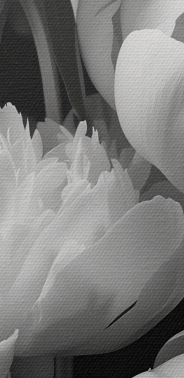 Group of white flowers