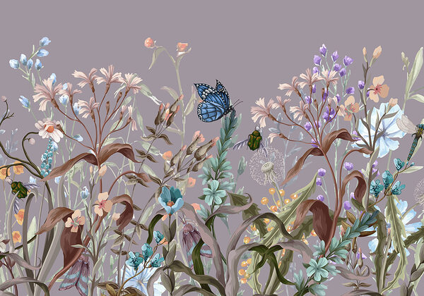 Butterfly on a flower