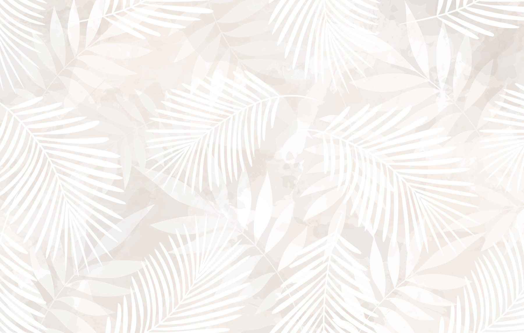 White leaves on a light background White leaves on a light background