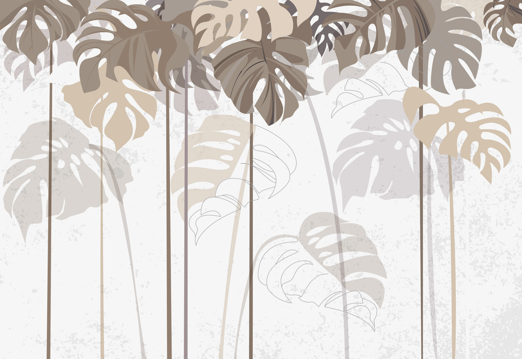 Group of leaves on a white background