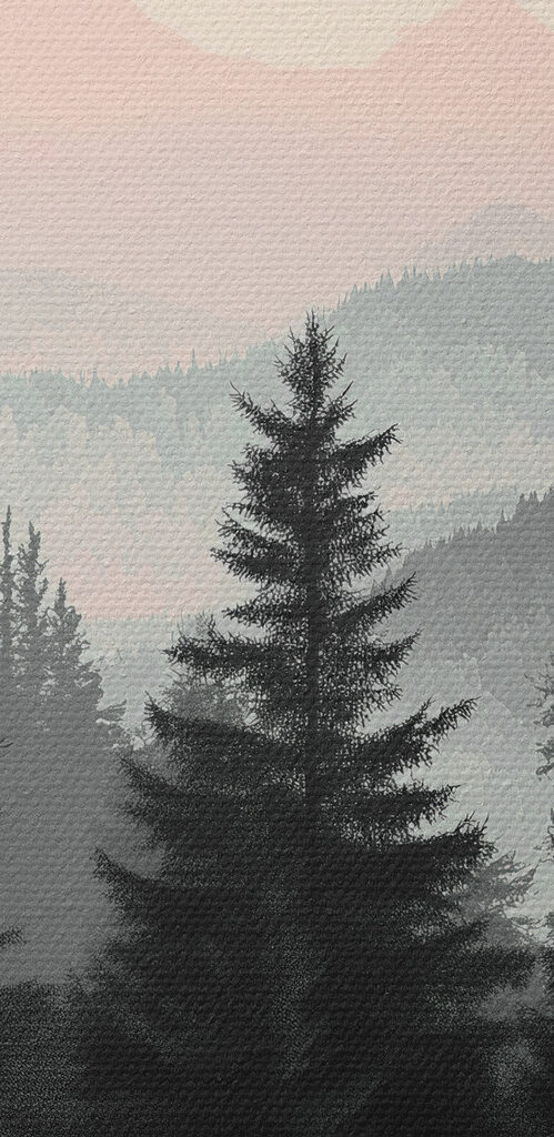 Group of trees in a forest