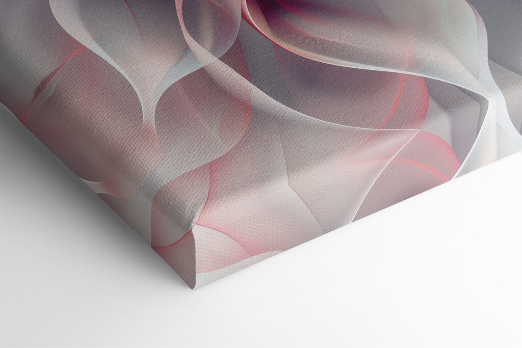 White and pink flower White and pink flower