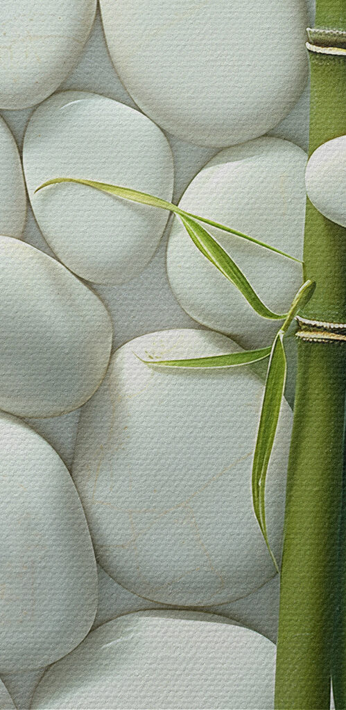 Group of green bamboo stems and white rocks Group of green bamboo stems and white rocks