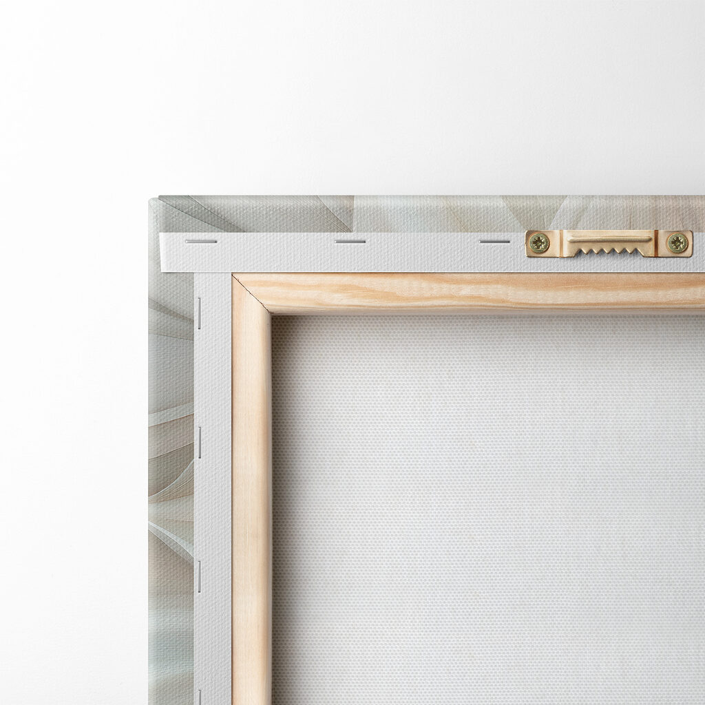 Close up of a flower Close up of a flower