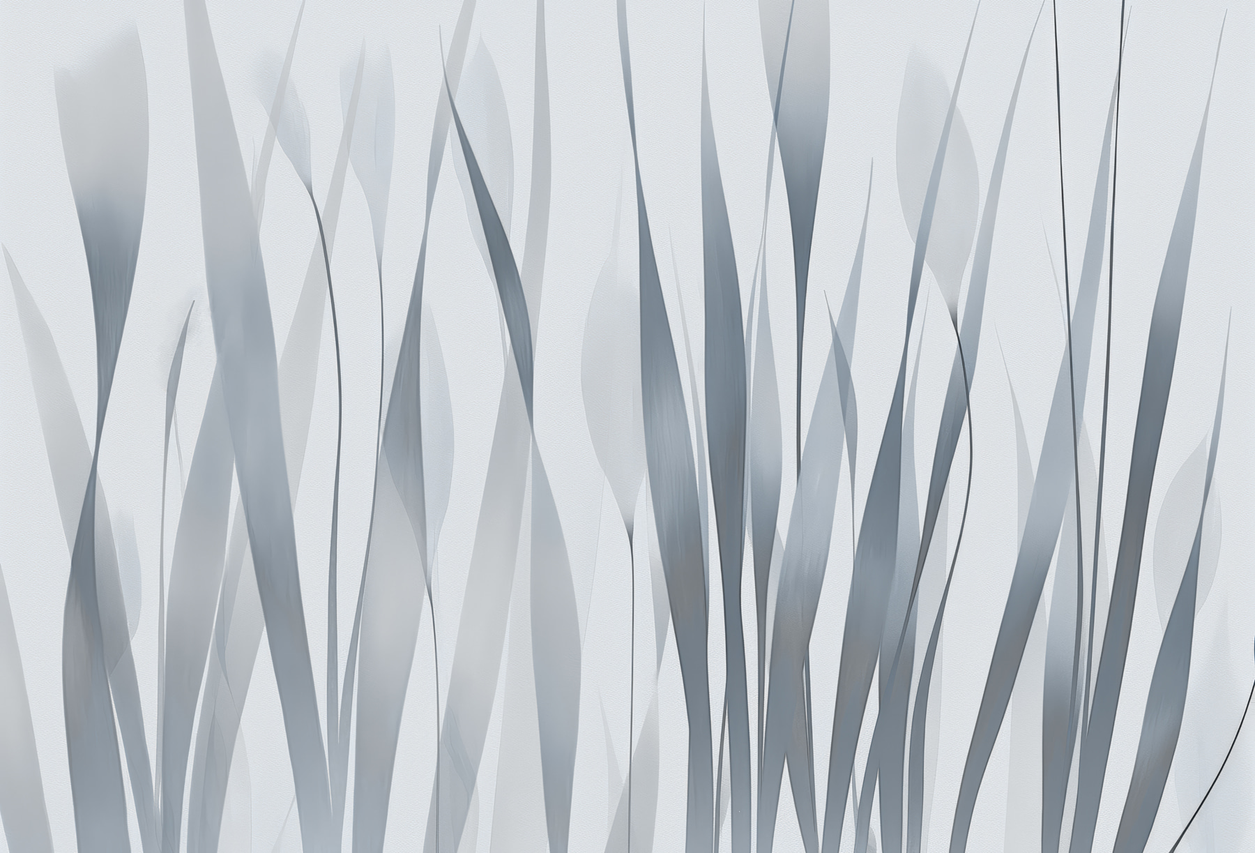 Grey and white plant