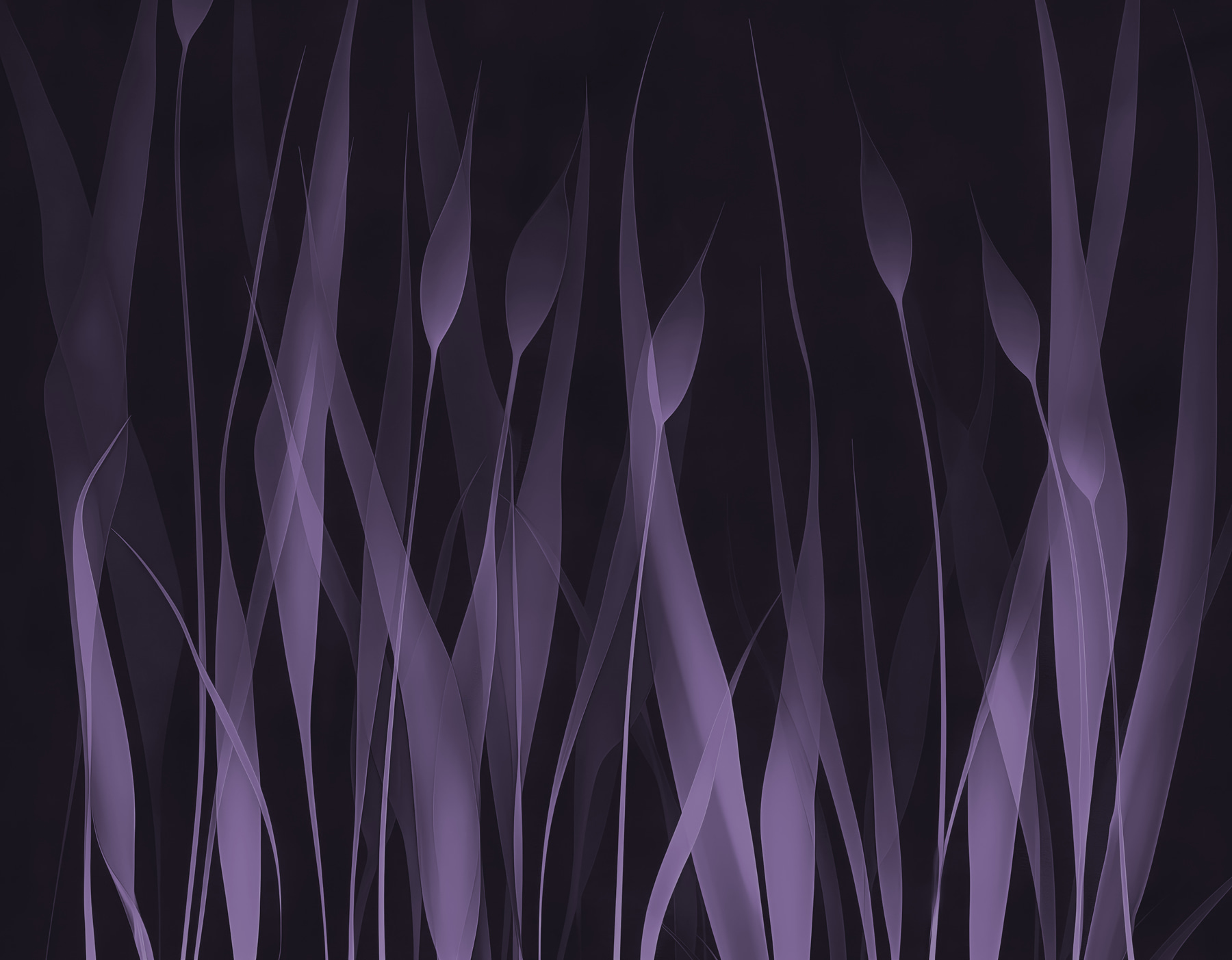 Purple grass with white lines Purple grass with white lines