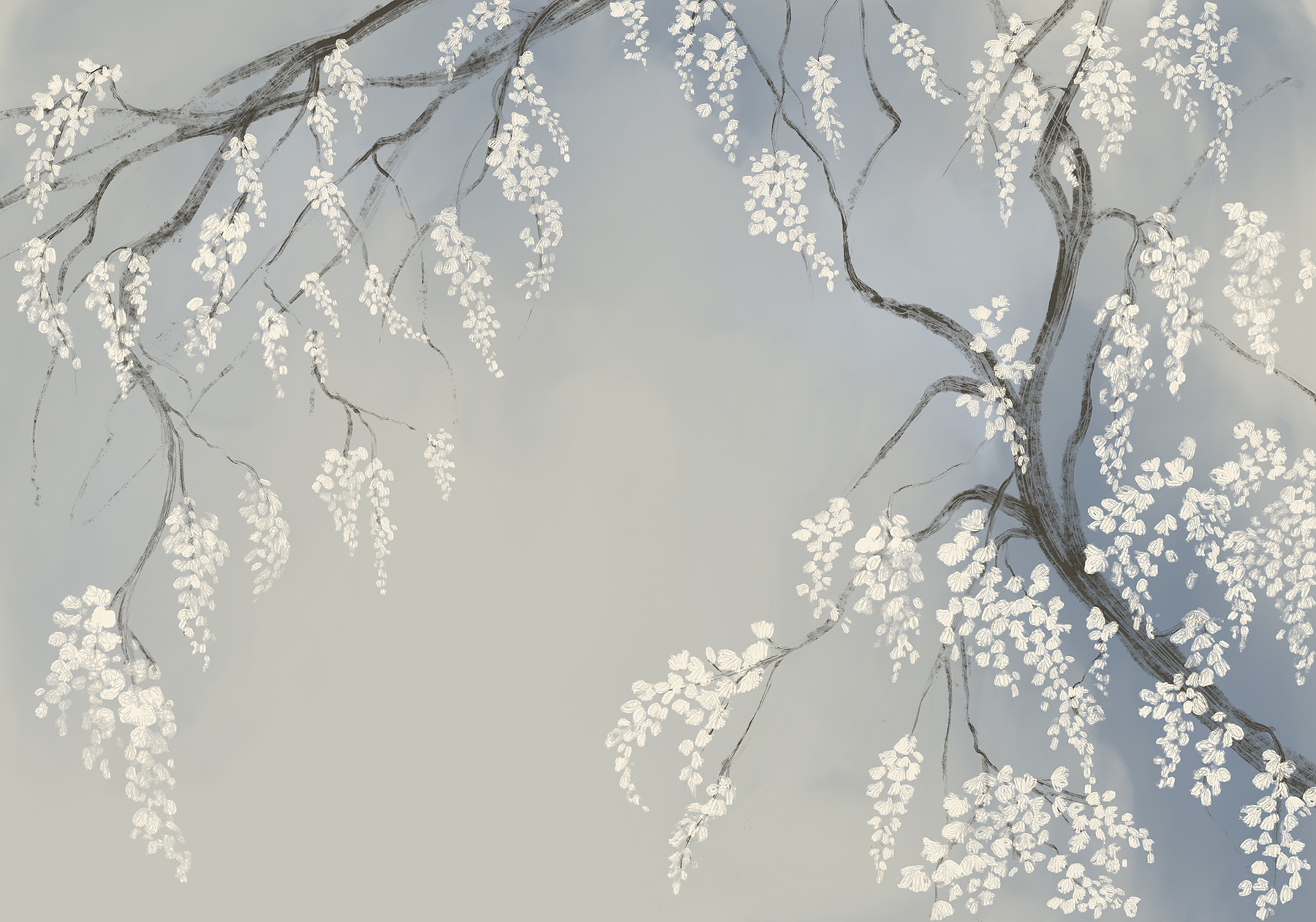 Tree branch with white flowers Tree branch with white flowers