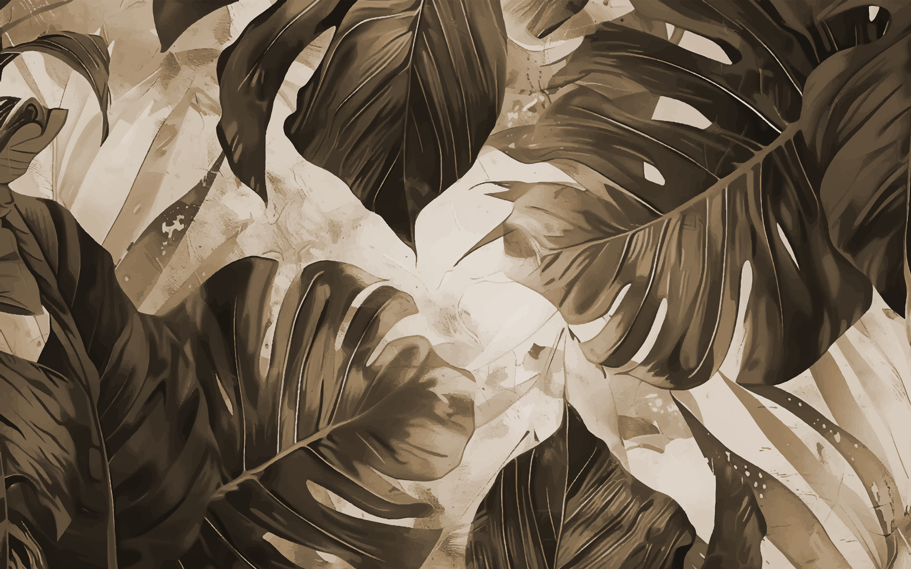 Close up of leaves Close up of leaves