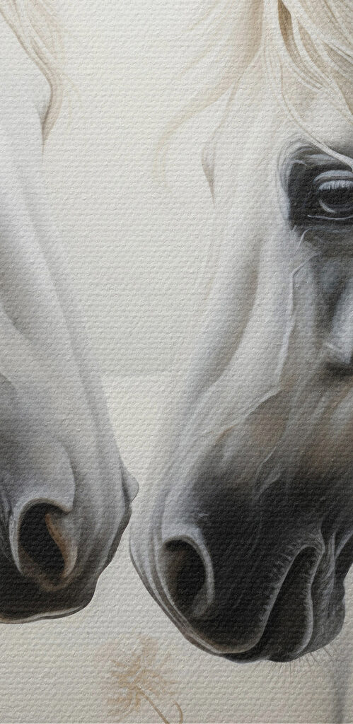 Two white horses with long manes