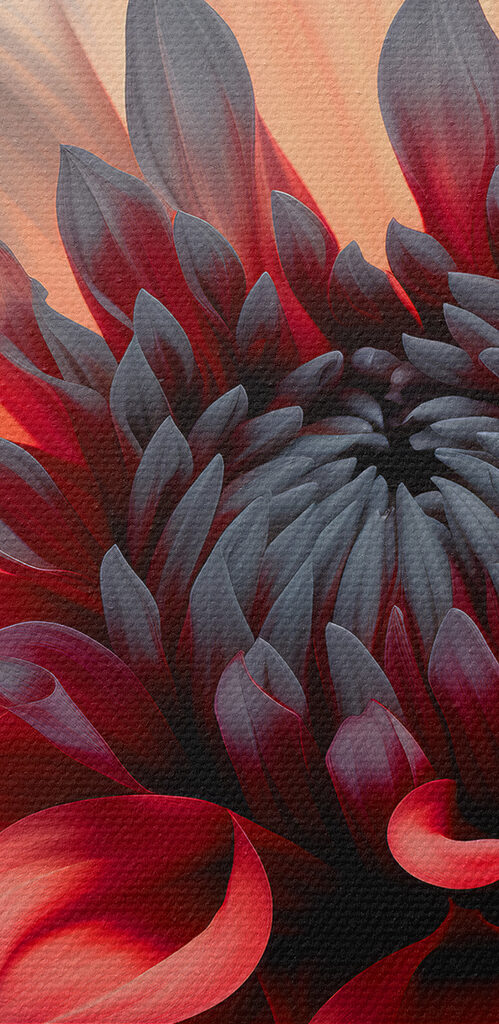 Vibrant petals in artistic display