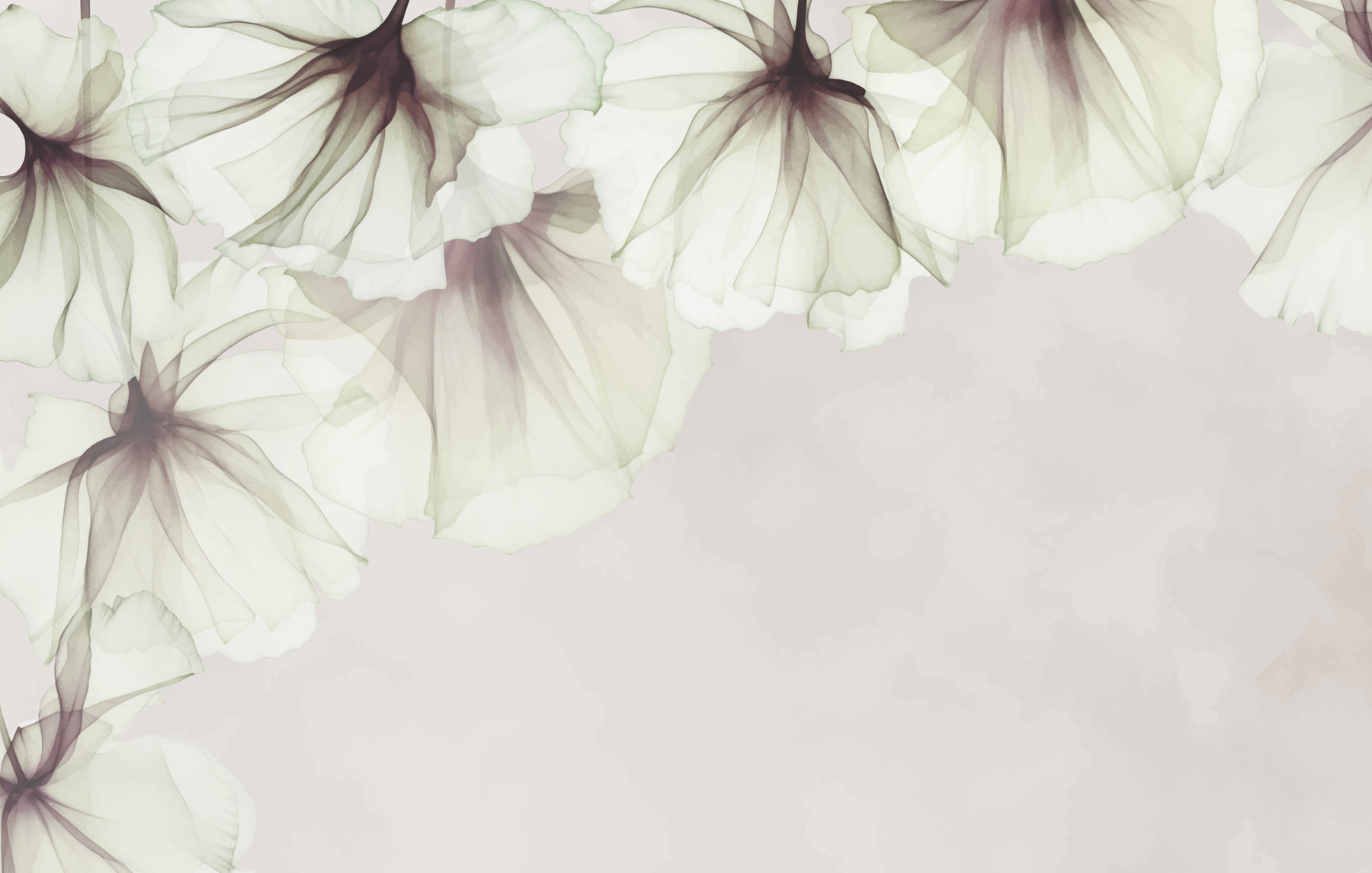 Close up of flowers
