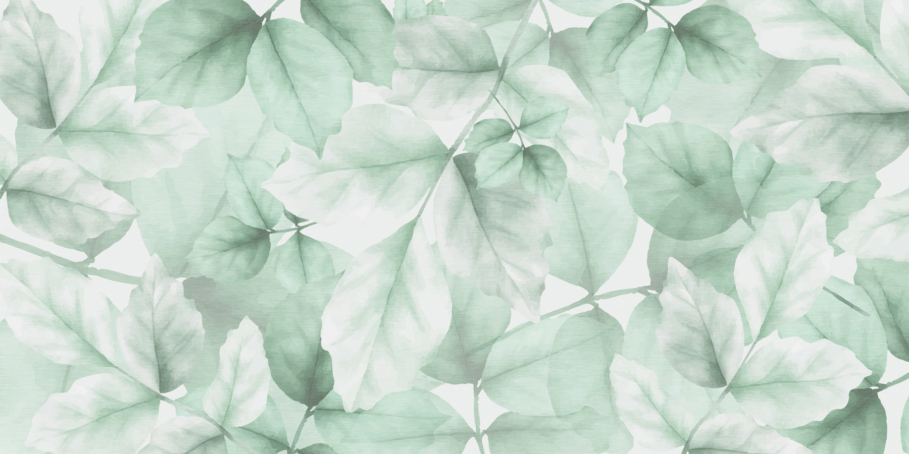 Close up of leaves Close up of leaves