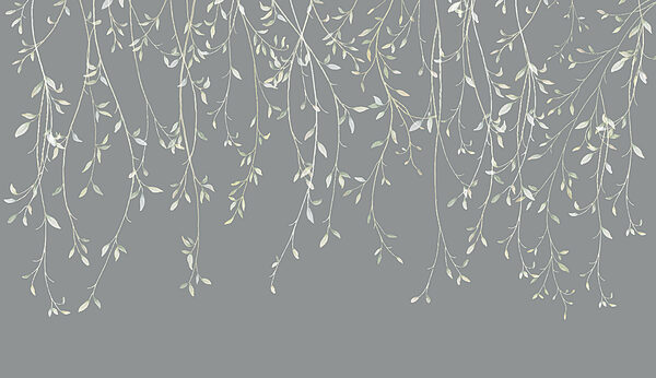 Close up of a branch