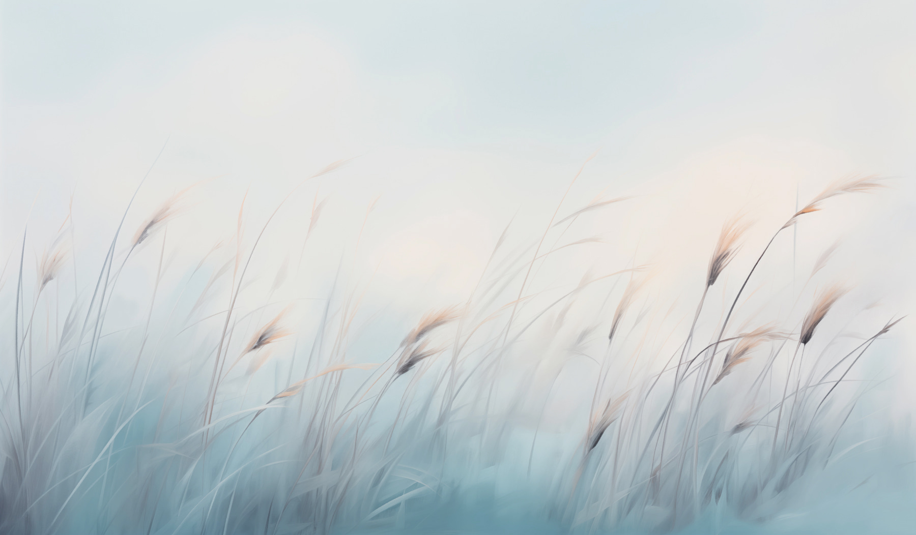 Field of grass with a foggy sky