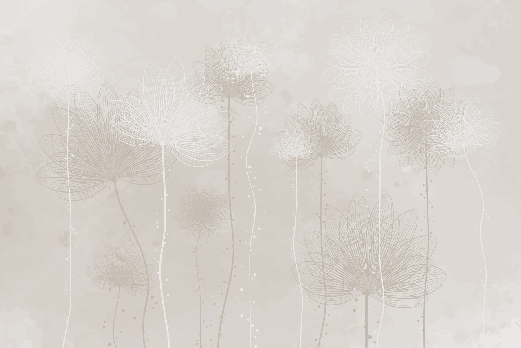 White flowers on a gray background