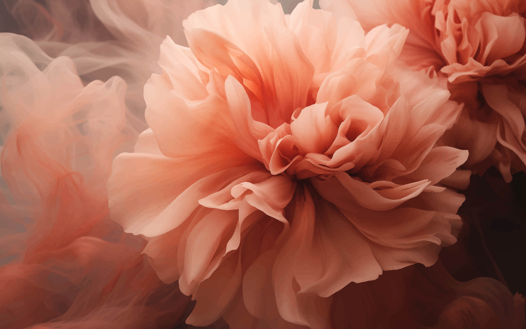 Close up of a flower Close up of a flower