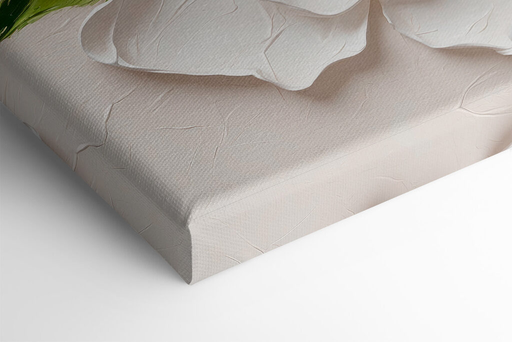 Close up of a flower Close up of a flower