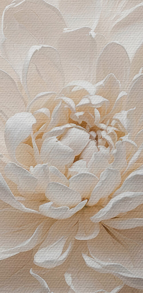 Close up of a flower Close up of a flower