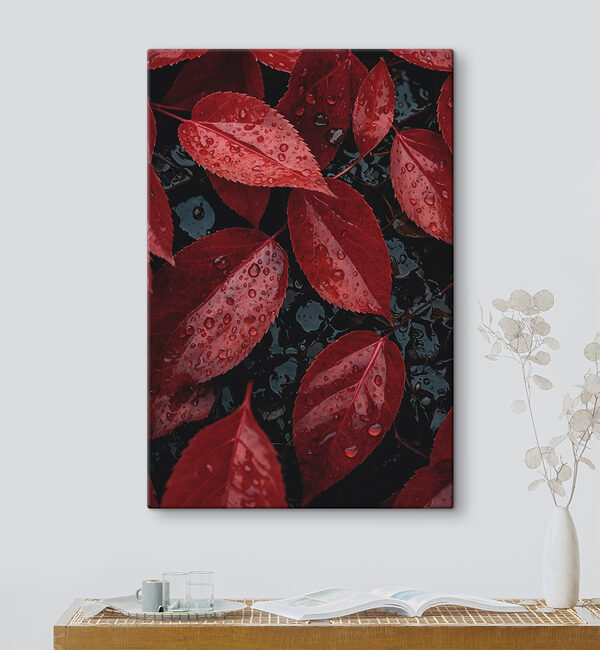 Červené listy s kvapkami vody Obraz Červené listy s kvapkami vody