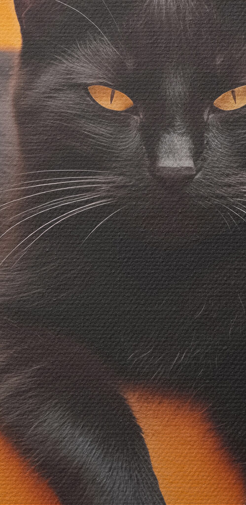 Black cat lying on a staircase