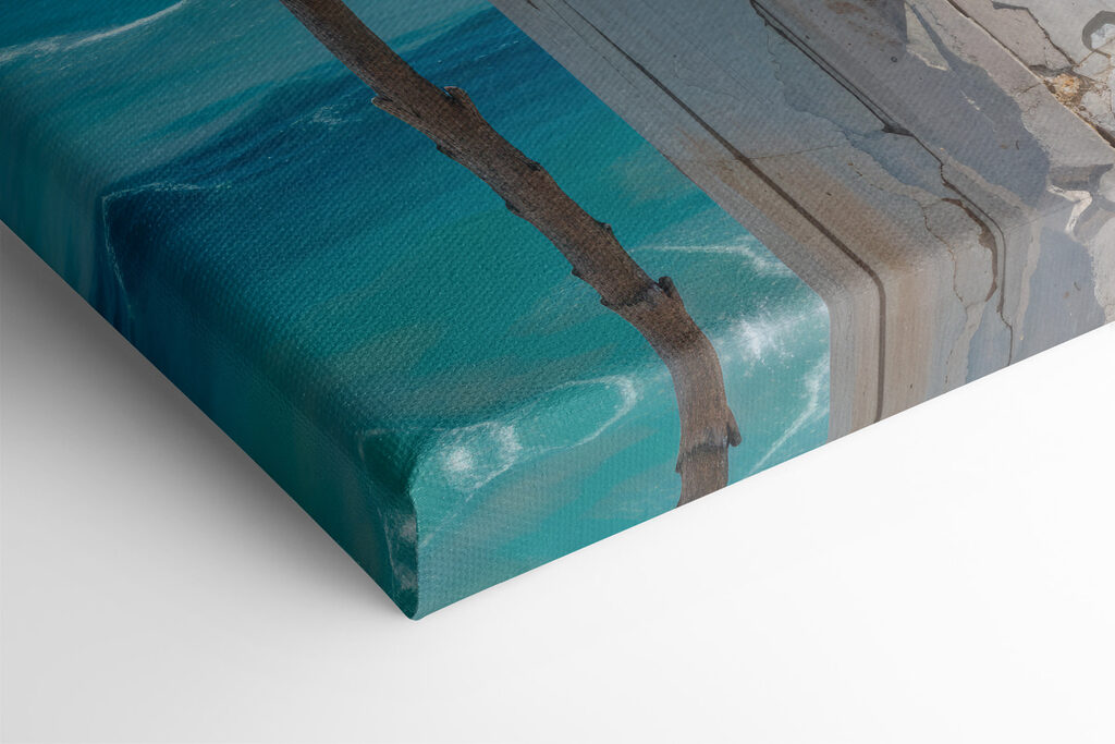 Seagull standing on a wooden post Seagull standing on a wooden post