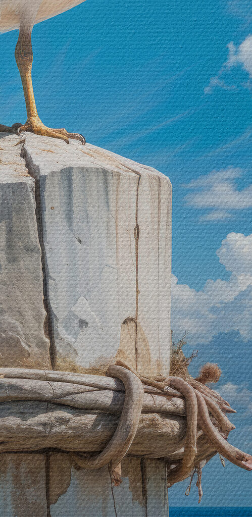 Seagull standing on a wooden post Seagull standing on a wooden post