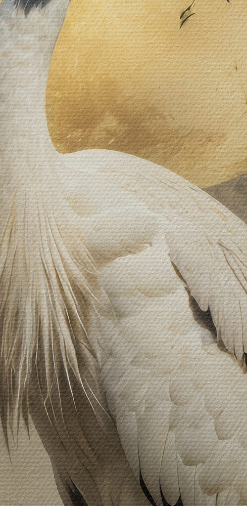 Bird standing in front of a full moon Bird standing in front of a full moon