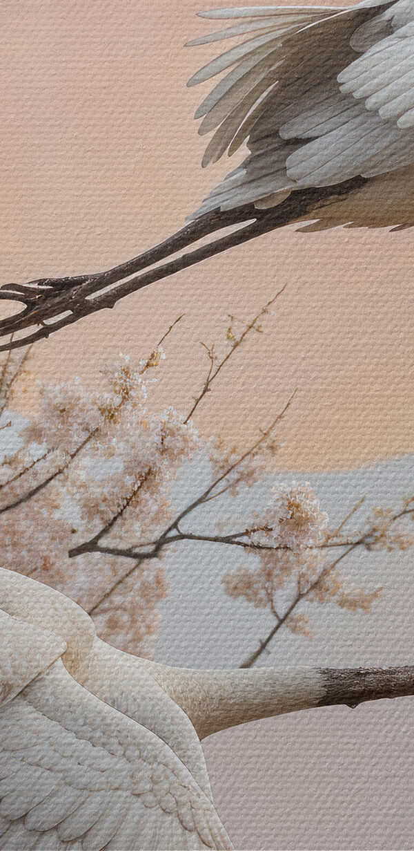 Group of birds flying in the air Group of birds flying in the air